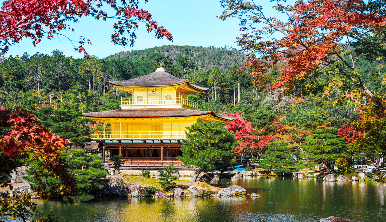 Kyoto Kinkakuji Temple, Kiyomizu Temple, Matcha Experience, Heian Shrine, and Rabbit Shrine Day Tour