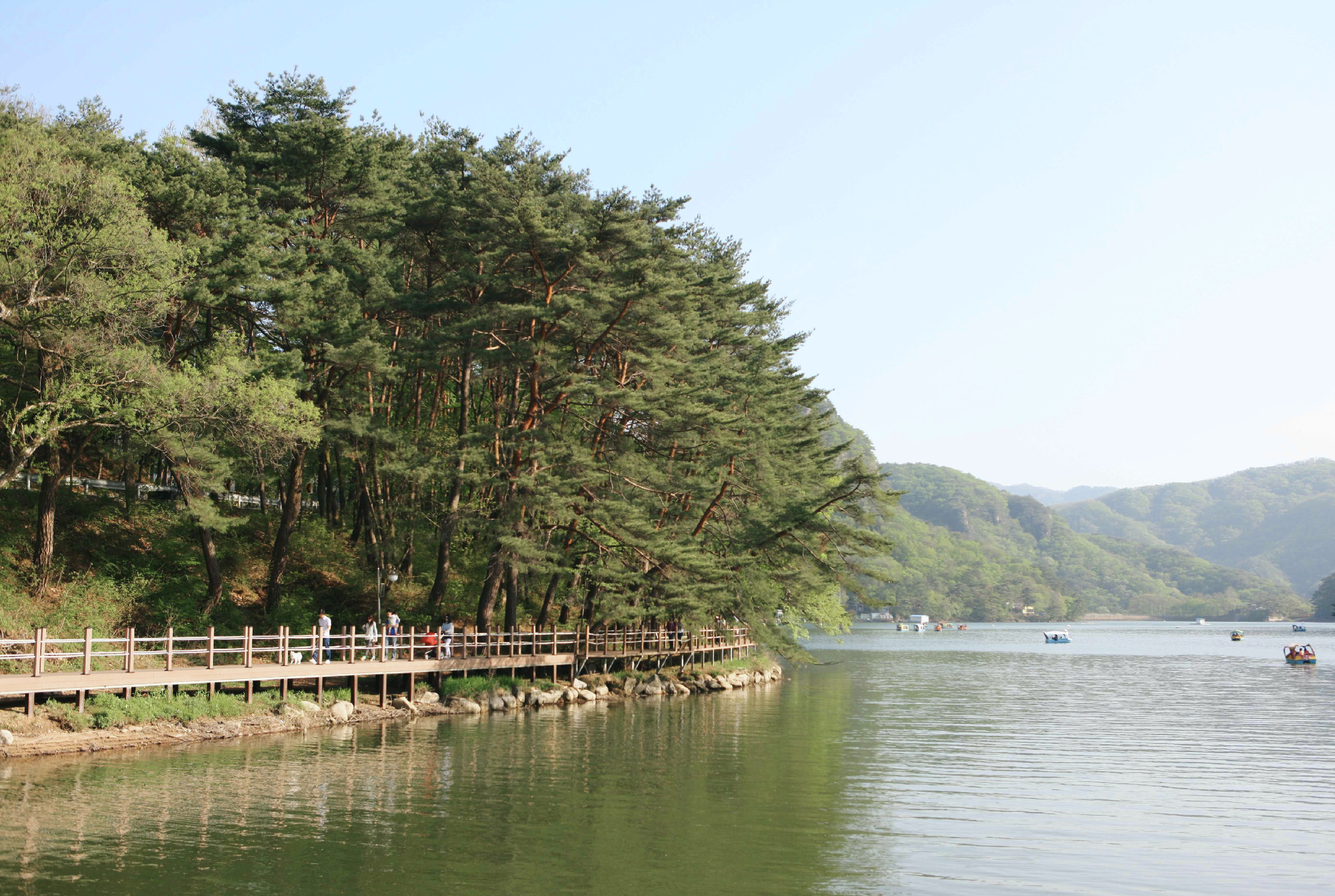 浦川 & 季節性熱門景點一日遊