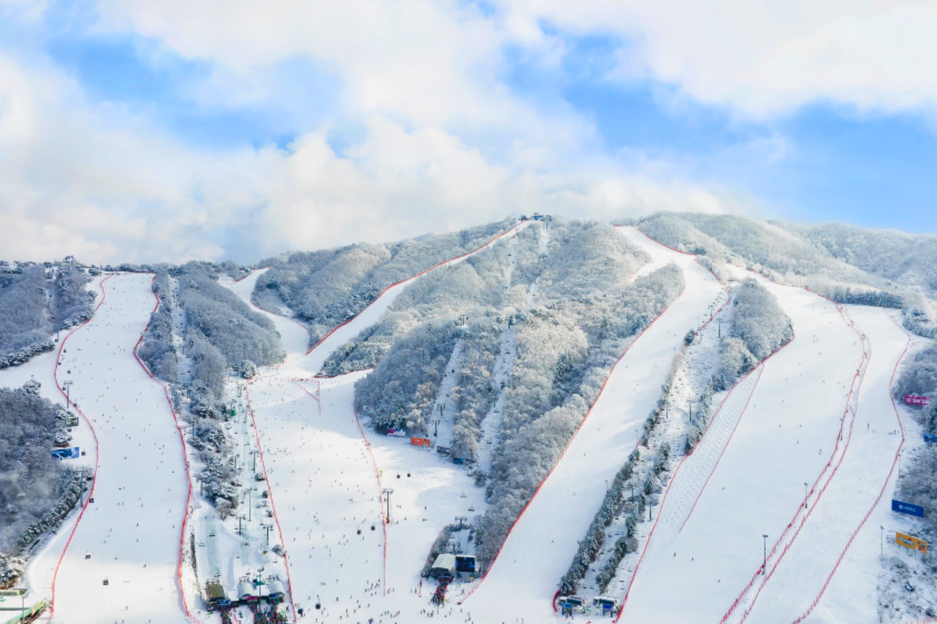 [Early Bird] Vivaldi Park Ski/Snowboard Trip from Seoul