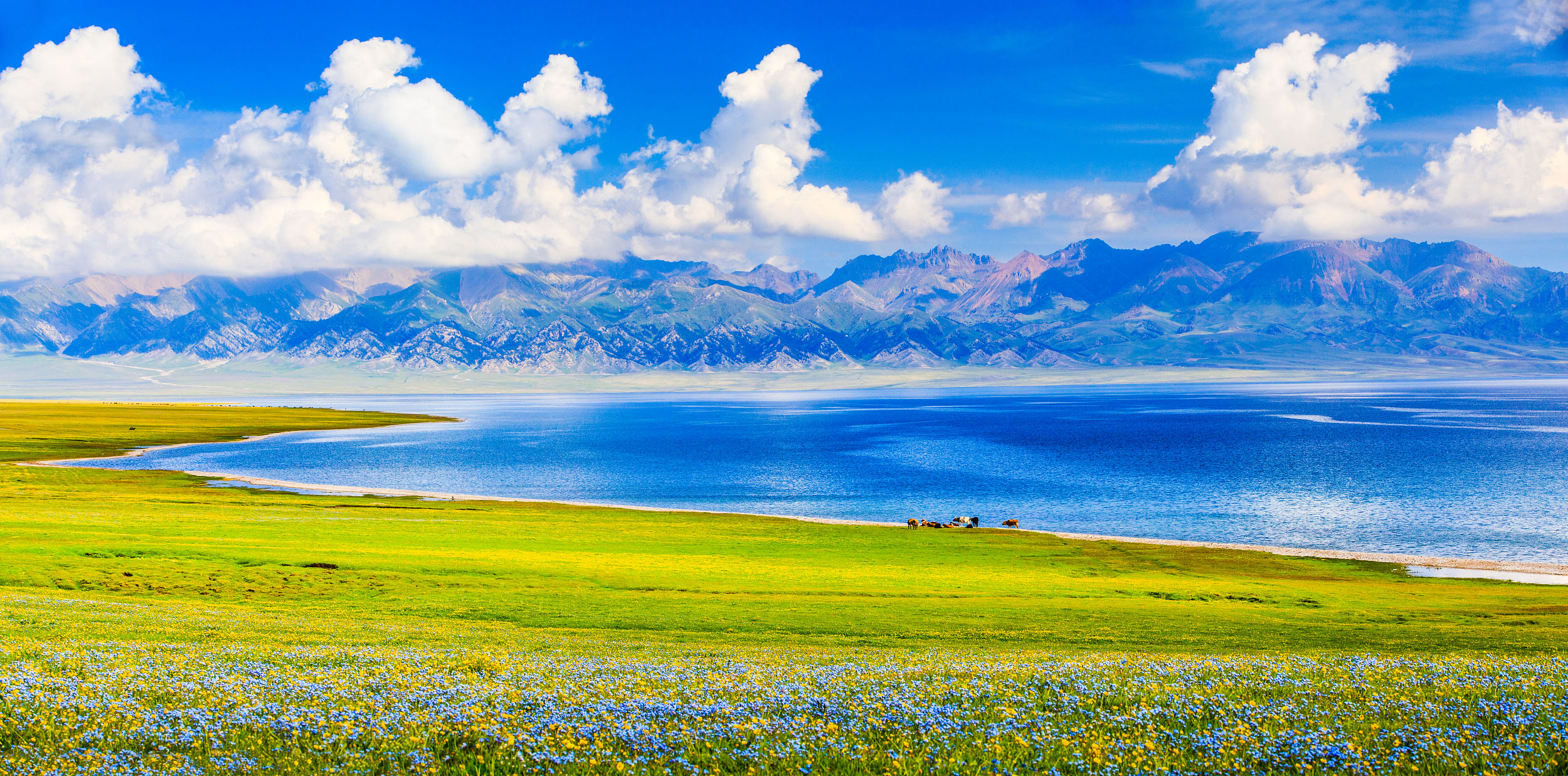 【Private Tour】7-Day Ili Loop Tour in Xinjiang