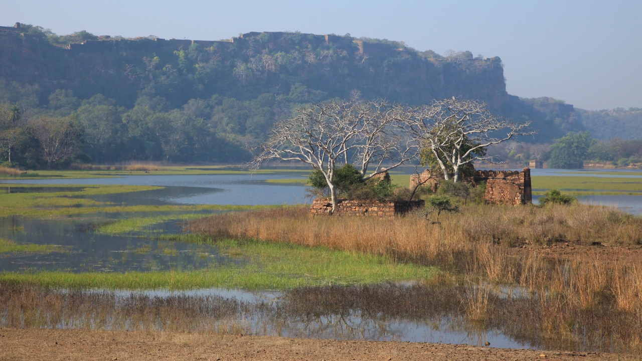 From Delhi: 3 Days Tour of Ranthambore Tiger safari