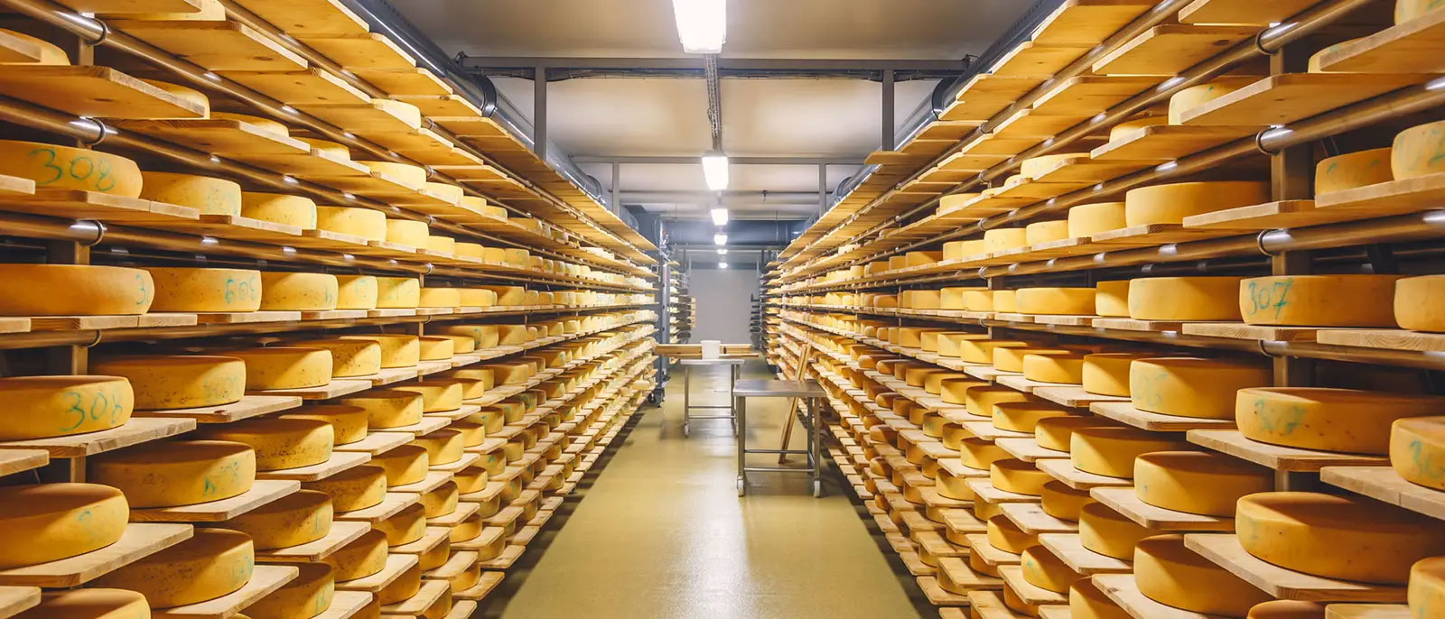 Gruyeres Cheese Factory