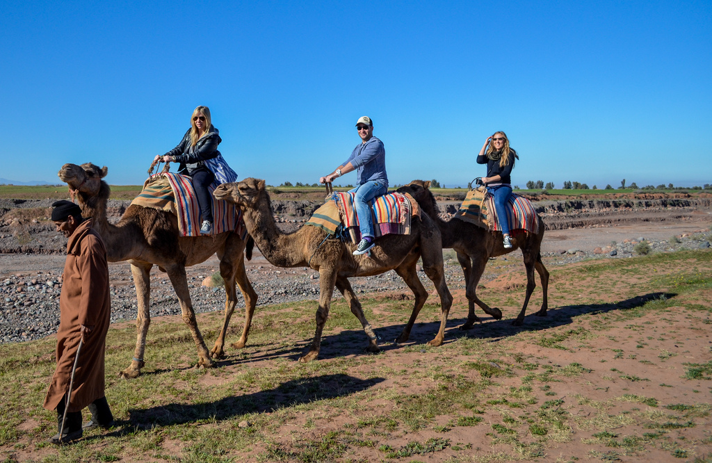 camel ride