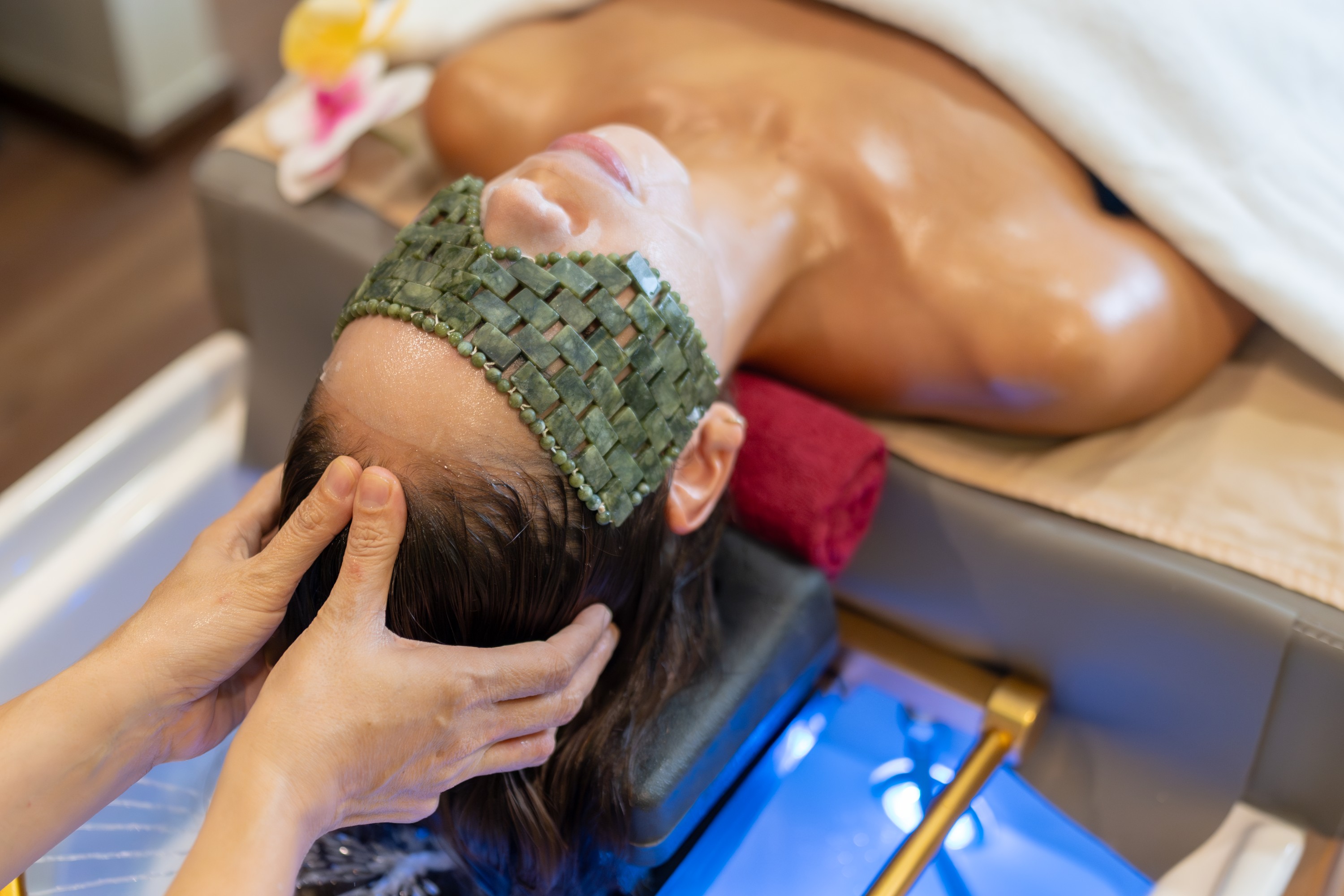 Dreamweaver 頭部SPA Dreamweaver 頭部SPA