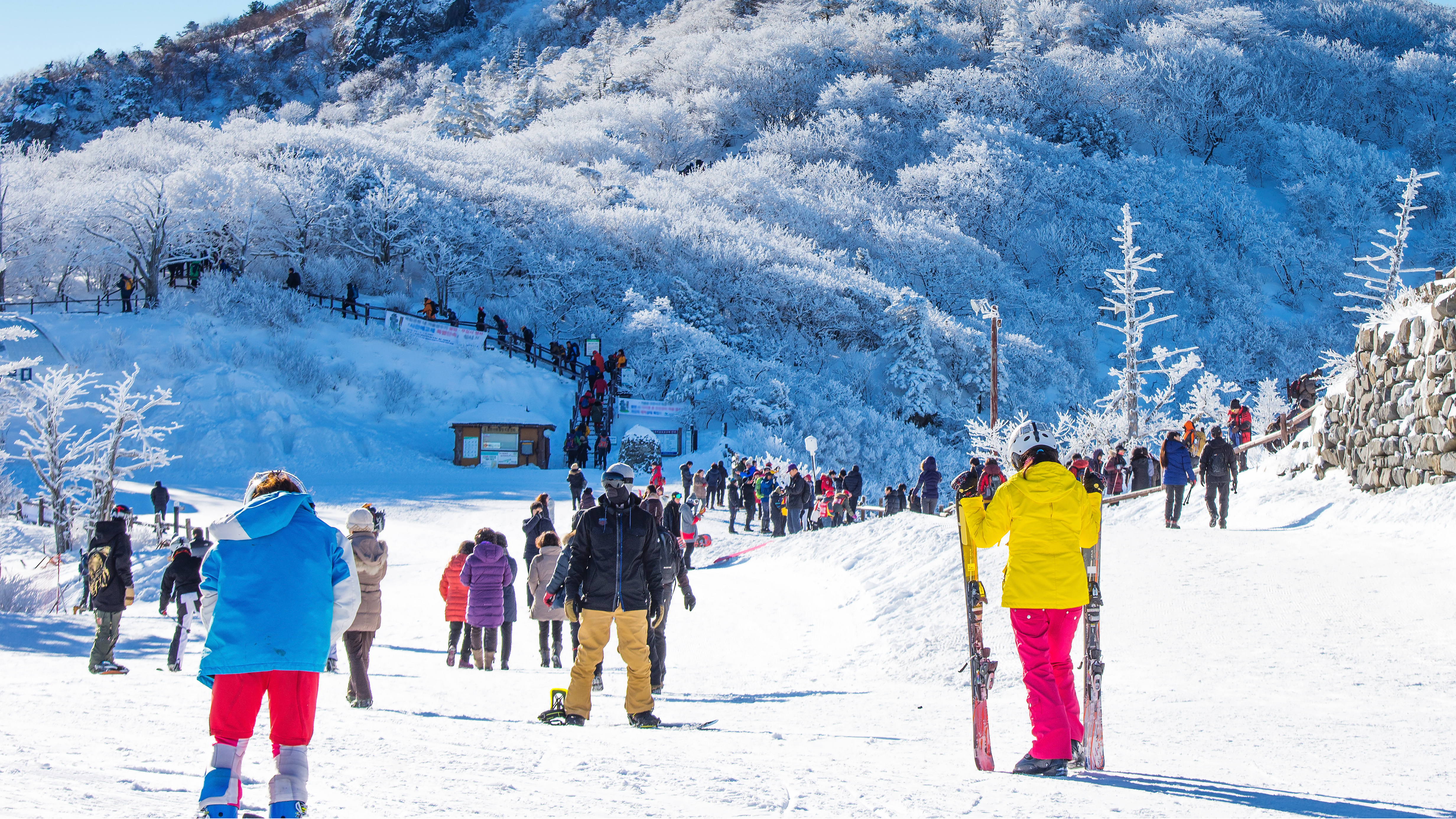 洪川大明維瓦爾第滑雪度假村＆奧麗山莊滑雪度假村＆伊利希安江村滑雪度假村包車遊