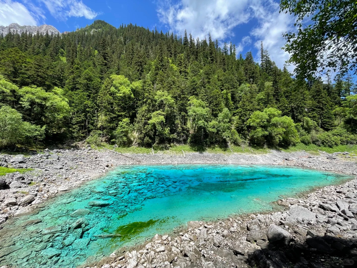 Huanglong Jiuzhai High-speed Rail Station/Songpan High-speed Rail Station to Jiuzhaigou Scenic Area and surrounding areas - Small car shared ride (optional trip to Huanglong Scenic Area)