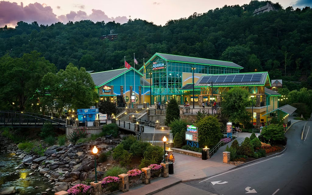 Ripley's Aquarium of the Smokies Ticket in Gatlinburg