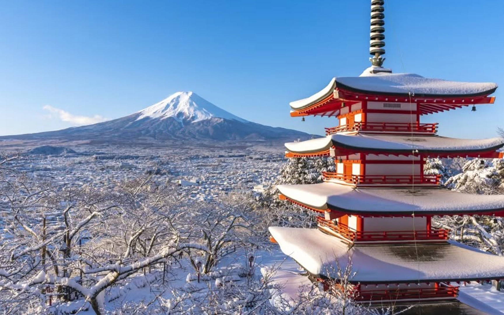 Tokyo Mount Fuji & 5 Scenic Spots Full-Day Sightseeing Tour