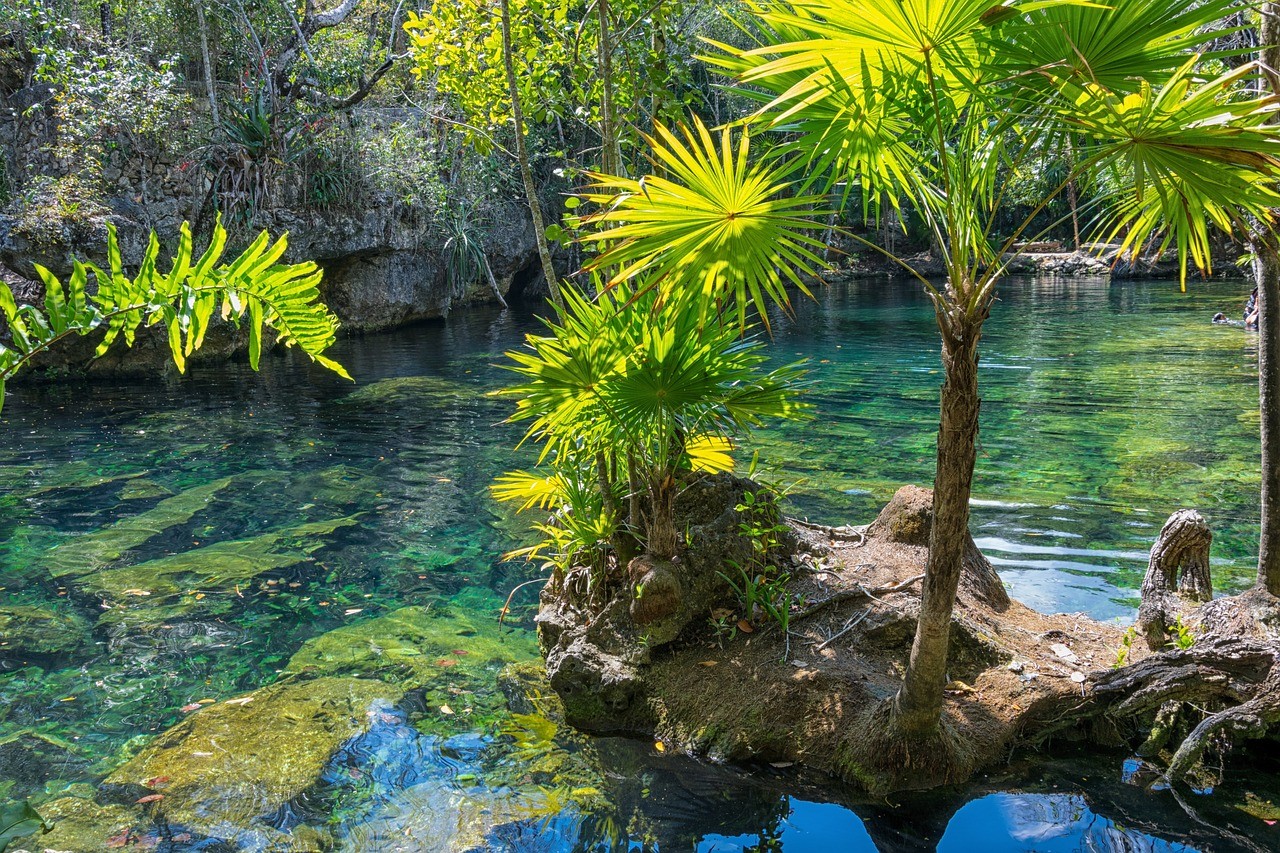 A Day of Natural Wonders with Guided tour at Cuzama Cenotes, Mexico
