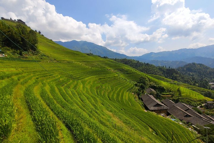 Yangshuo Private Half-Day Tour to Tea Plantation and Xianggong Hill