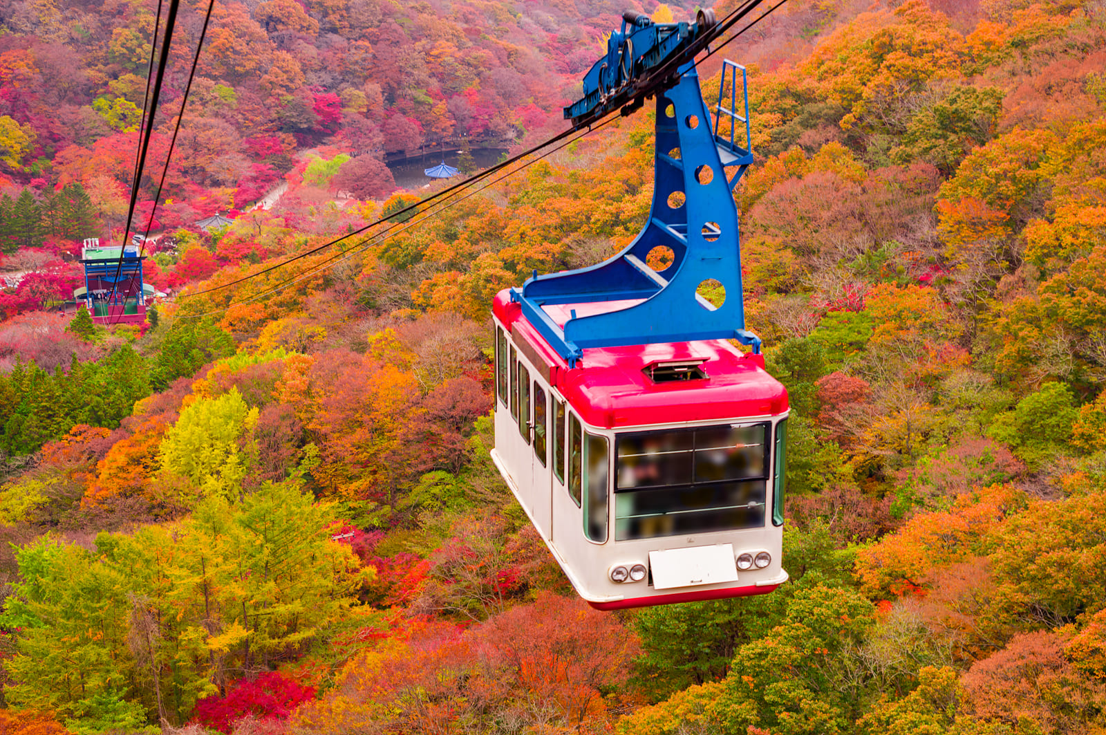 纜車(自費) 纜車(自費)