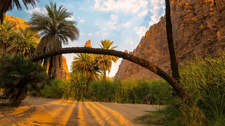 Tabuk Al-Disah Valley Full-Day Adventure