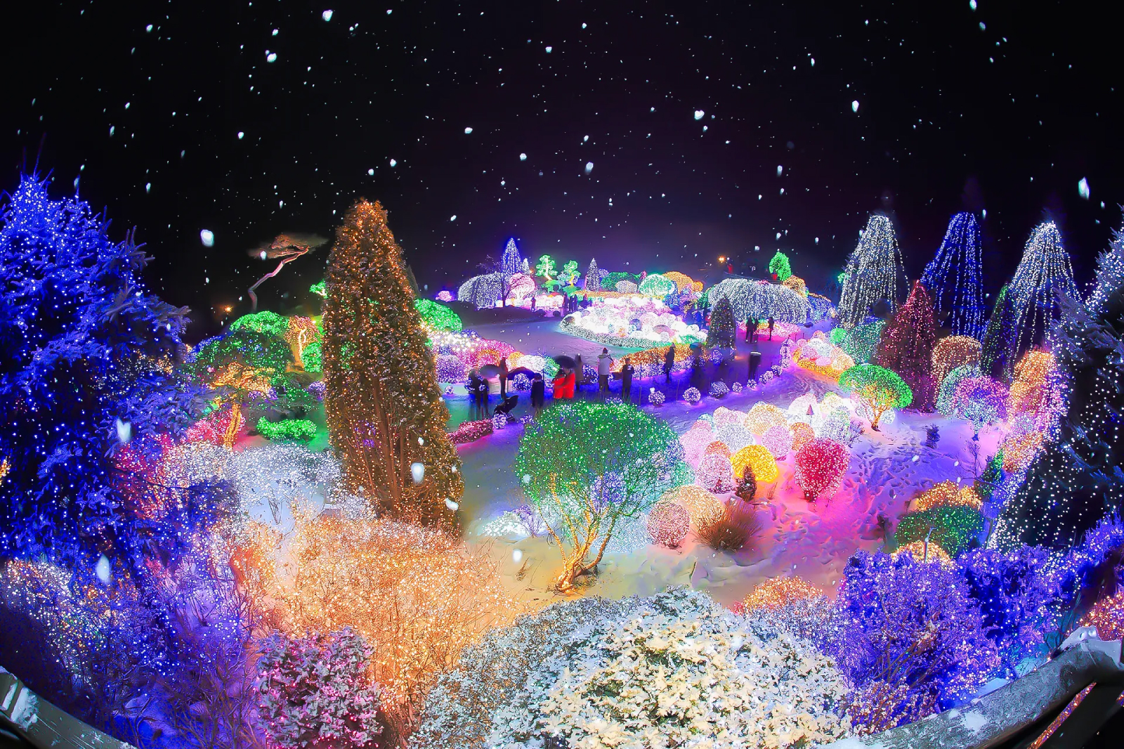 晨靜樹木園 (Garden of Morning Calm) – 寧靜的韓式花園，隨著季節展現不同美景。