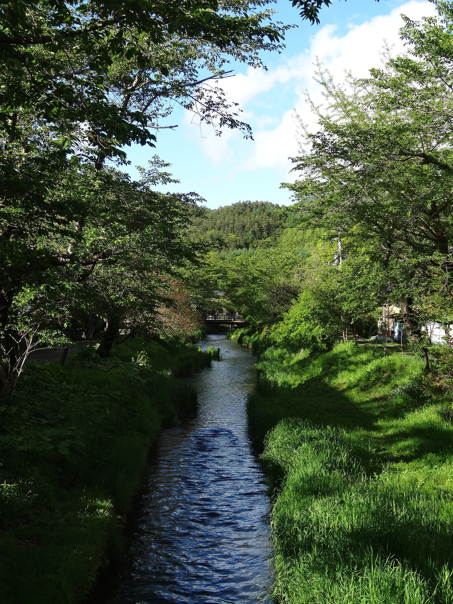 富士山(Mount Fuji)箱根(Hakone)私人包車一日遊