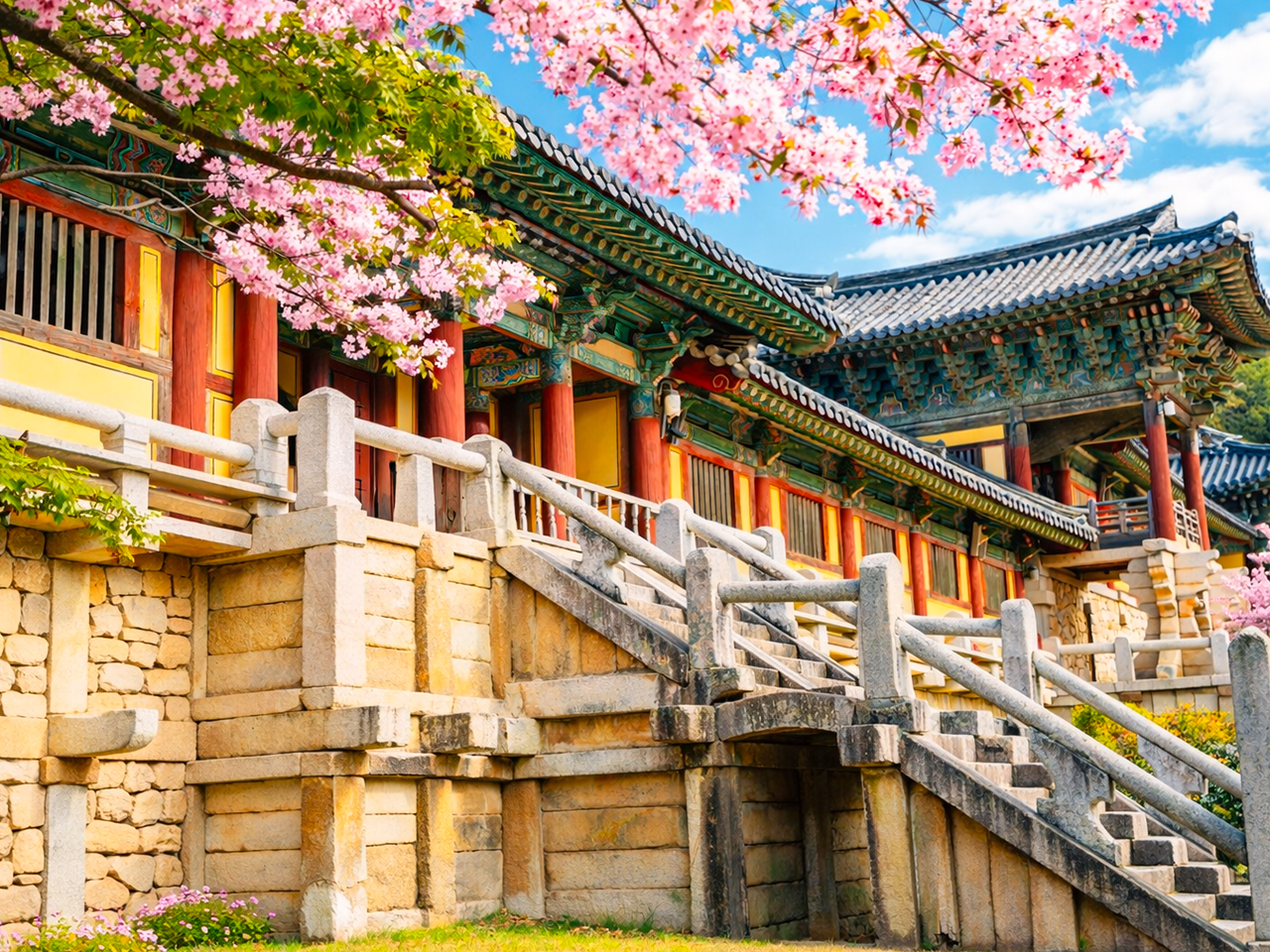 Busan City Cherry Blossom Tour with Top Attractions