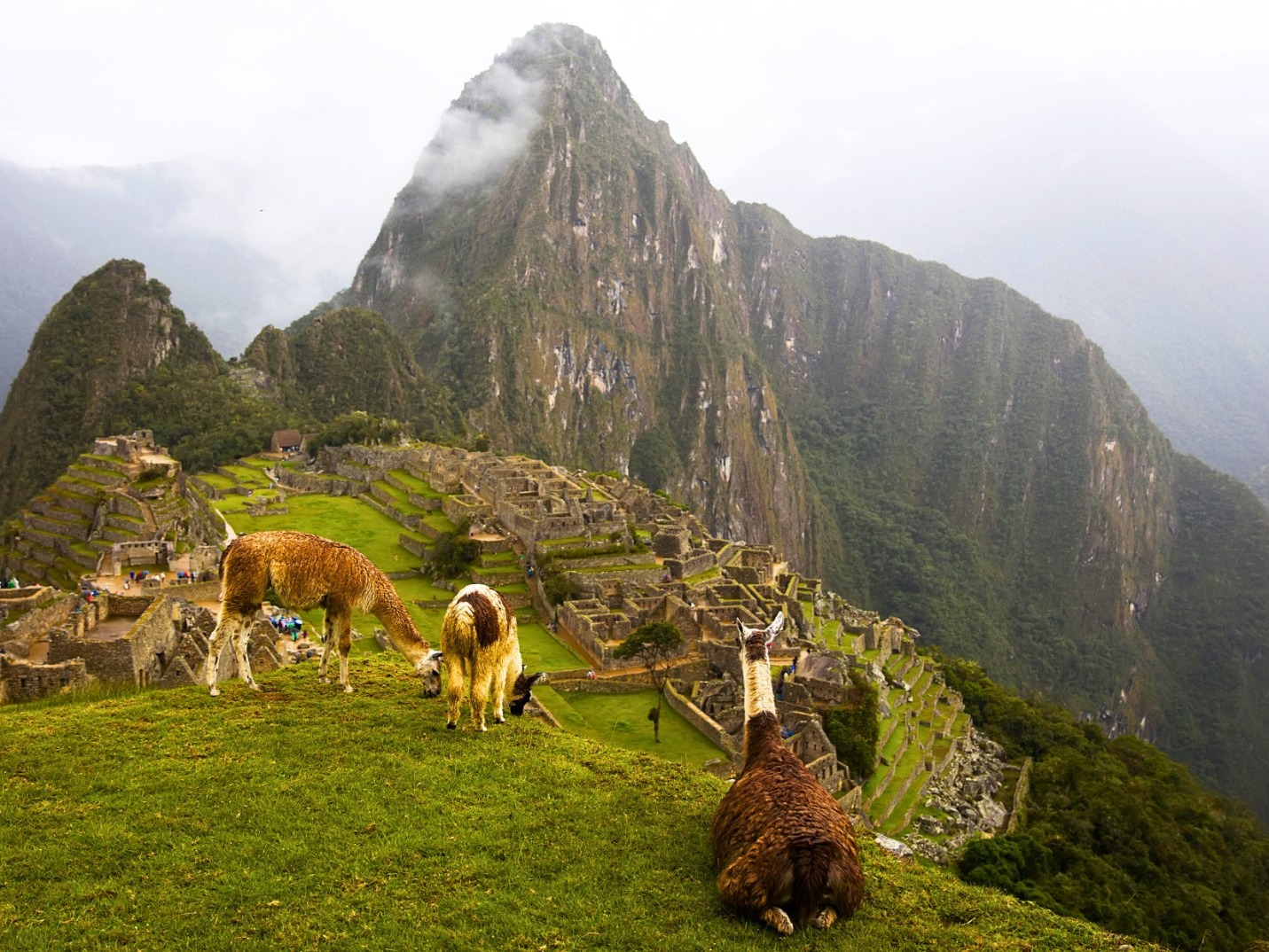 Cusco 2-Day Inca Trail to Machu Picchu Cultural Tour