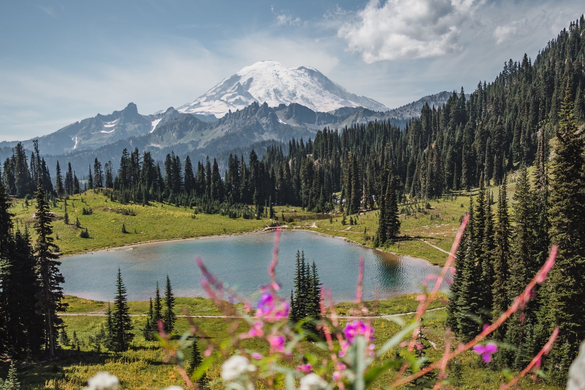 西雅圖雷尼爾山國家公園 (Mt. Rainier National Park) 私人 SUV 全日遊