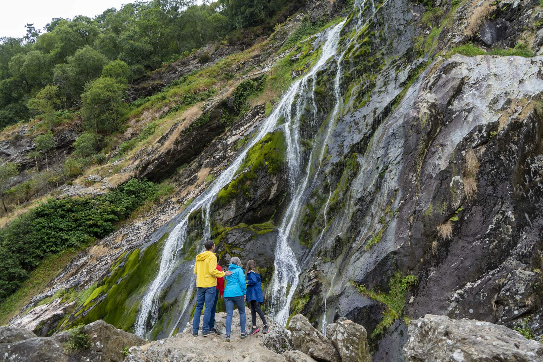 From Dublin: Wicklow, Glendalough, Waterfall & Sheepdog demo