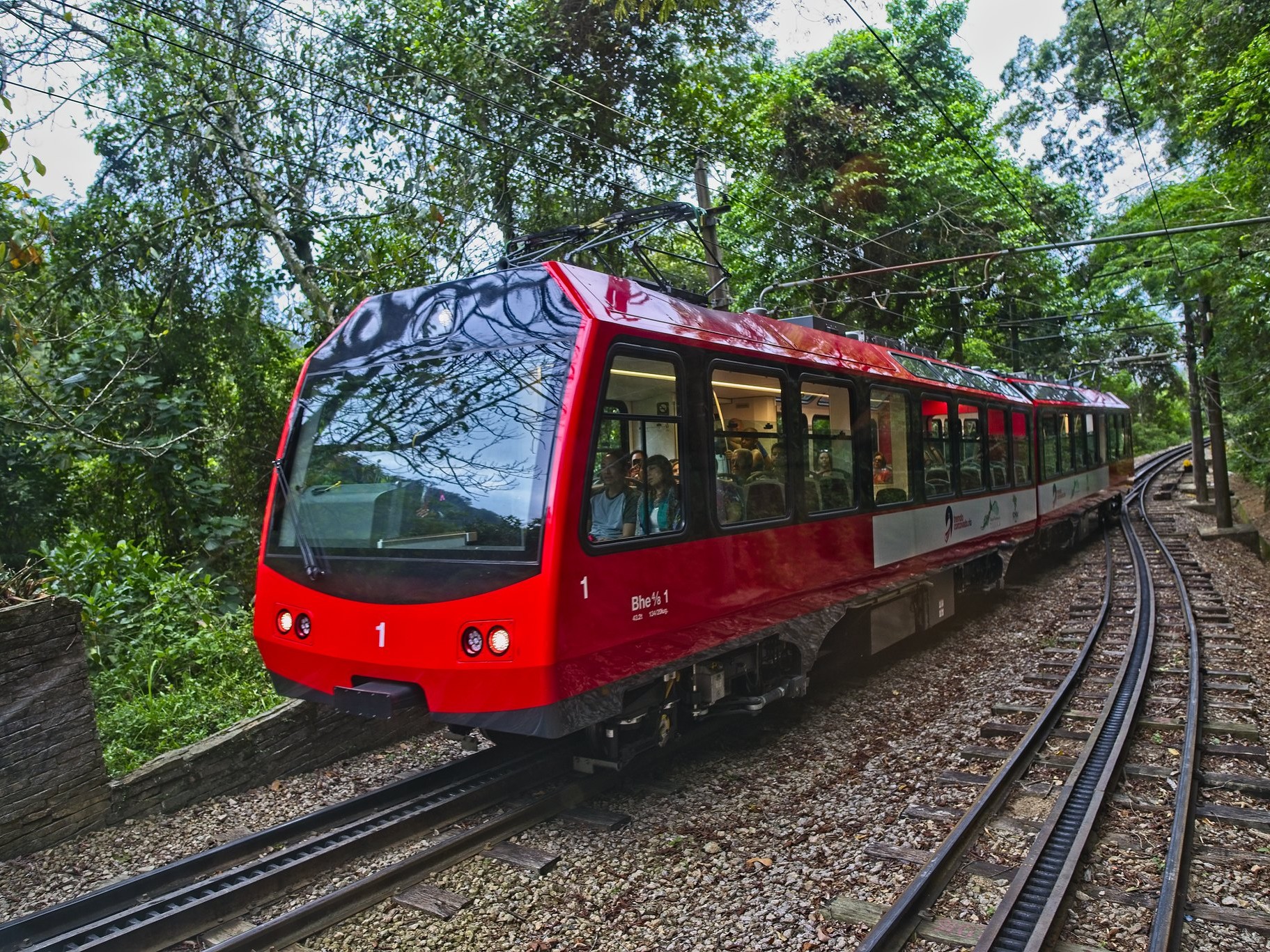 Comfortable train gliding through lush Tijuca Rainforest beneath tall green canopies and chirping birds