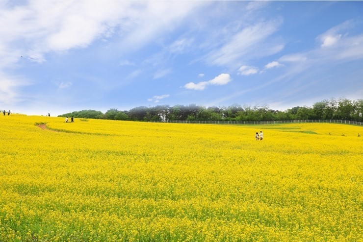 清新空氣與遼闊視野，是自然愛好者的天堂。