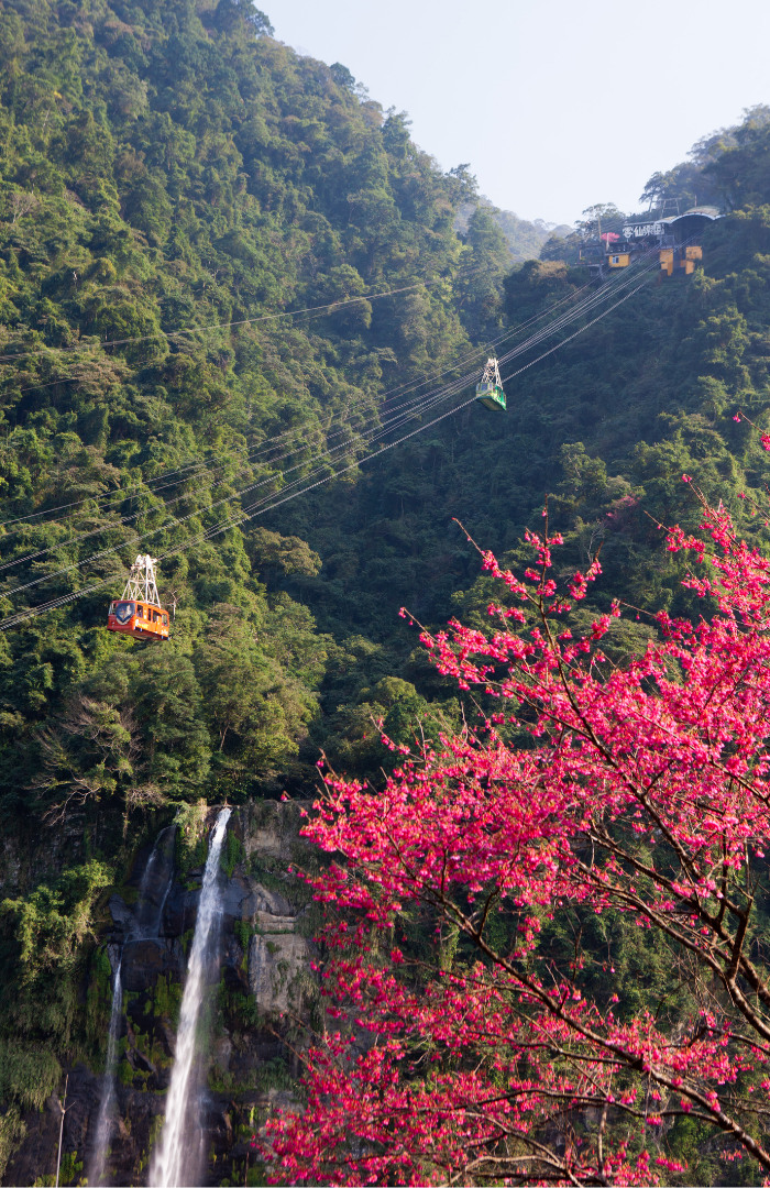 雲仙樂園高空纜車10 分鐘直上山頂,自高空俯瞰瀑布與山谷,感受烏來的層層綠意。 雲仙樂園高空纜車10 分鐘直上山頂,自高空俯瞰瀑布與山谷,感受烏來的層層綠意。