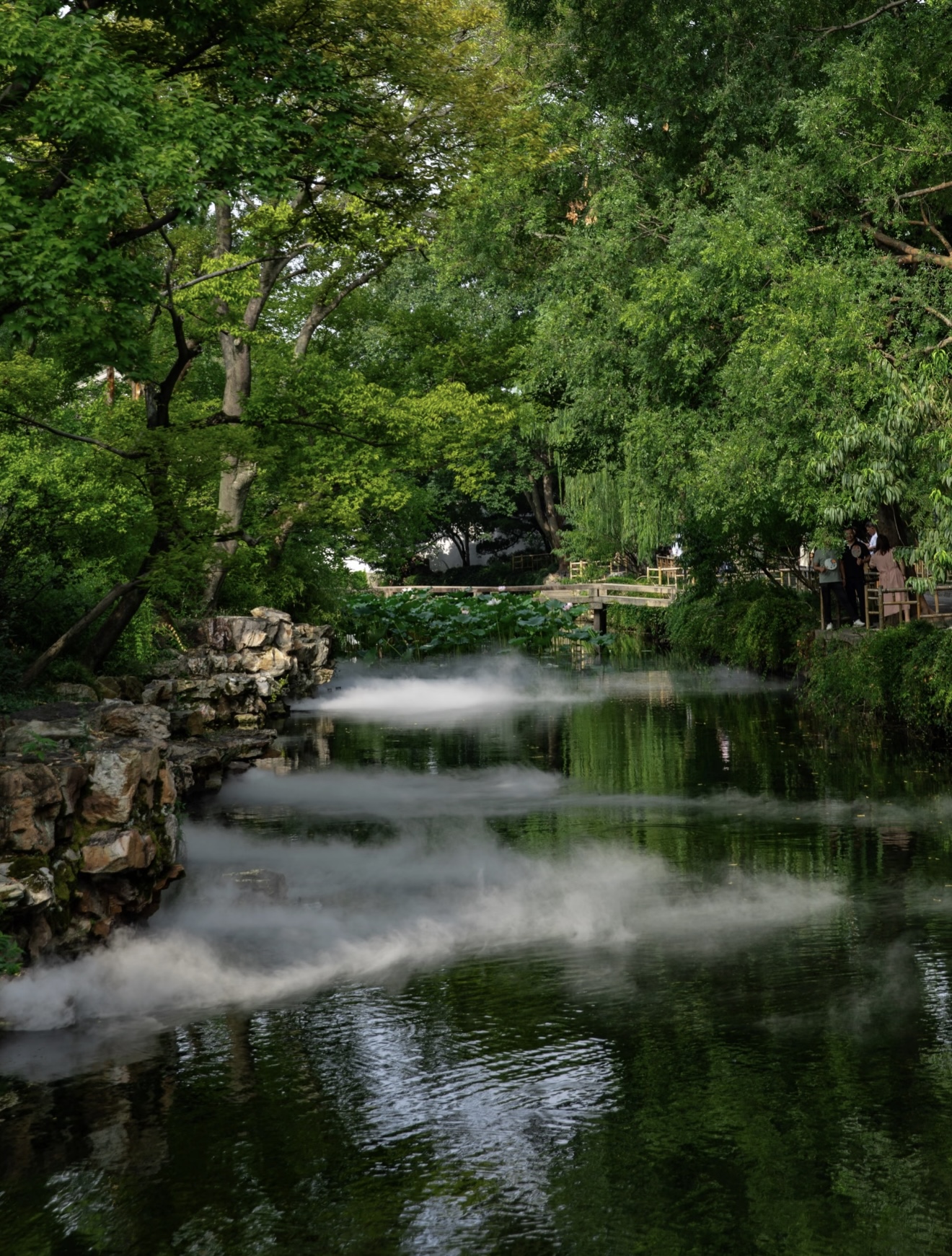 蘇州的河水,像一條綠色綢帶穿城而過,寧靜又溫柔。它伴著兩岸的粉牆黛瓦和尋常人家,陪著這座城走過一天又一天。 蘇州的河水,像一條綠色綢帶穿城而過,寧靜又溫柔。它伴著兩岸的粉牆黛瓦和尋常人家,陪著這座城走過一天又一天。