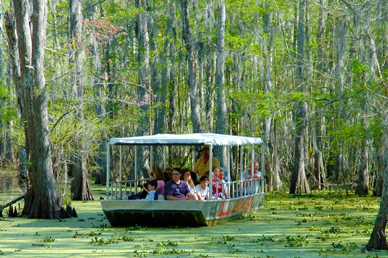 Honey Island Swamp Tour with Transportation from New Orleans