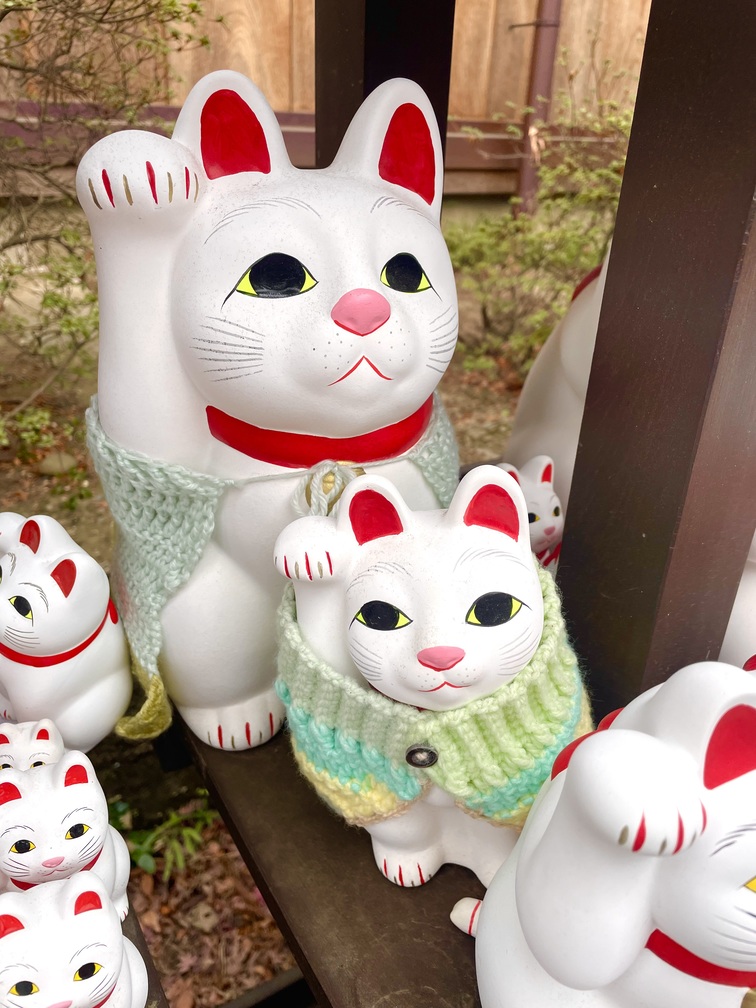 Unique lucky cat in the temple