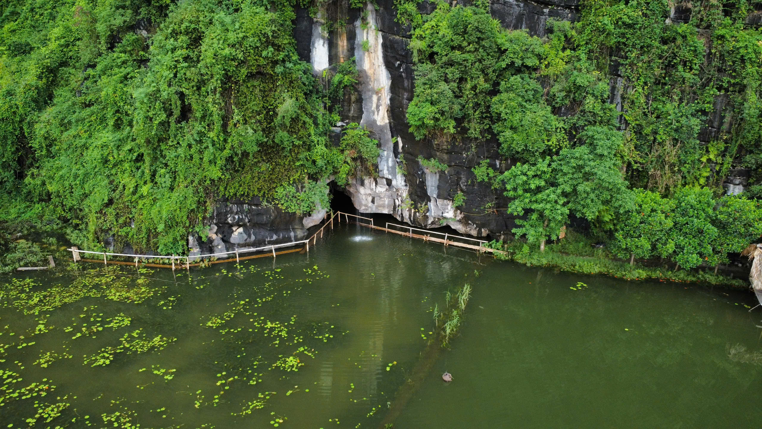 Tam Coc qishloq hayoti tajribasi: guruch yetishtirish va buyvol minish