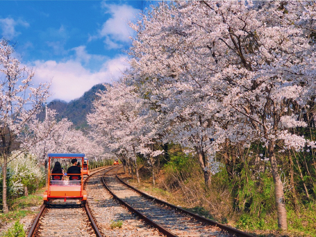韓國鐵路自行車體驗 — 騎行穿梭於風景如畫的鄉間！沿著美麗的鐵軌騎行，欣賞令人驚嘆的山脈和河流美景。