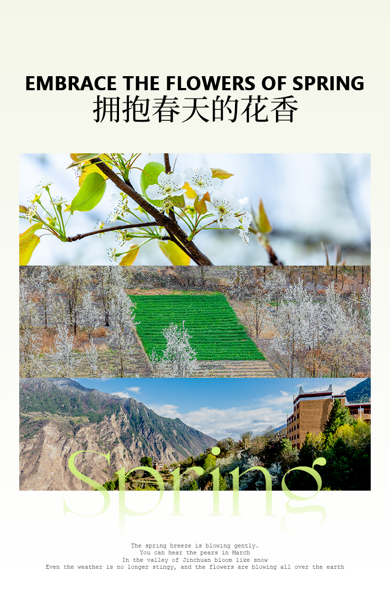 川西春日賞花5日遊（四姑娘山雙橋溝+金川梨花+中路藏寨+甲居藏寨+海螺溝）