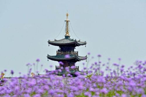 拈花灣小鎮