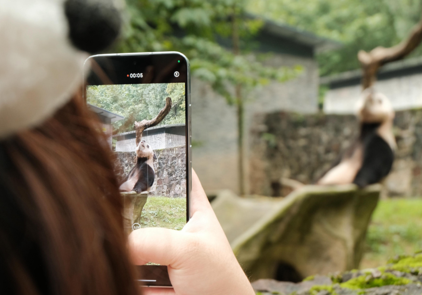 Chengdu Panda Base & Dujiangyan Full-Day Tour with No-Queue