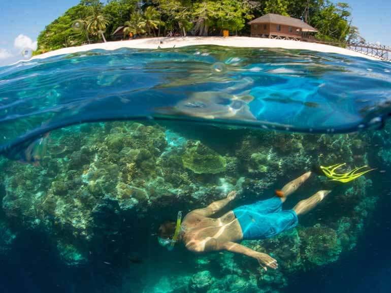 敦沙卡蘭海洋公園島浮潛或潛水之旅