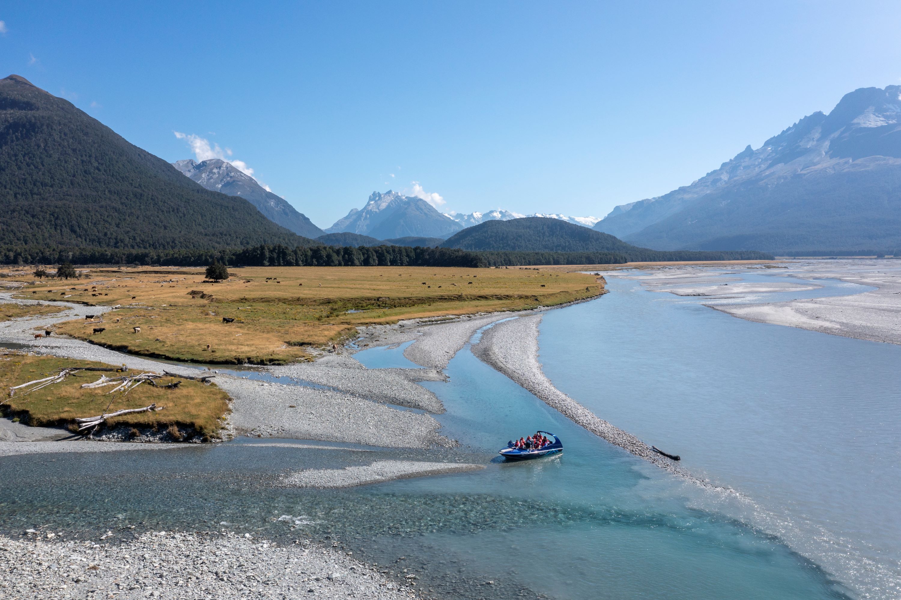 紐西蘭達特河（Dart River）噴射快艇體驗 & 荒野冒險之旅