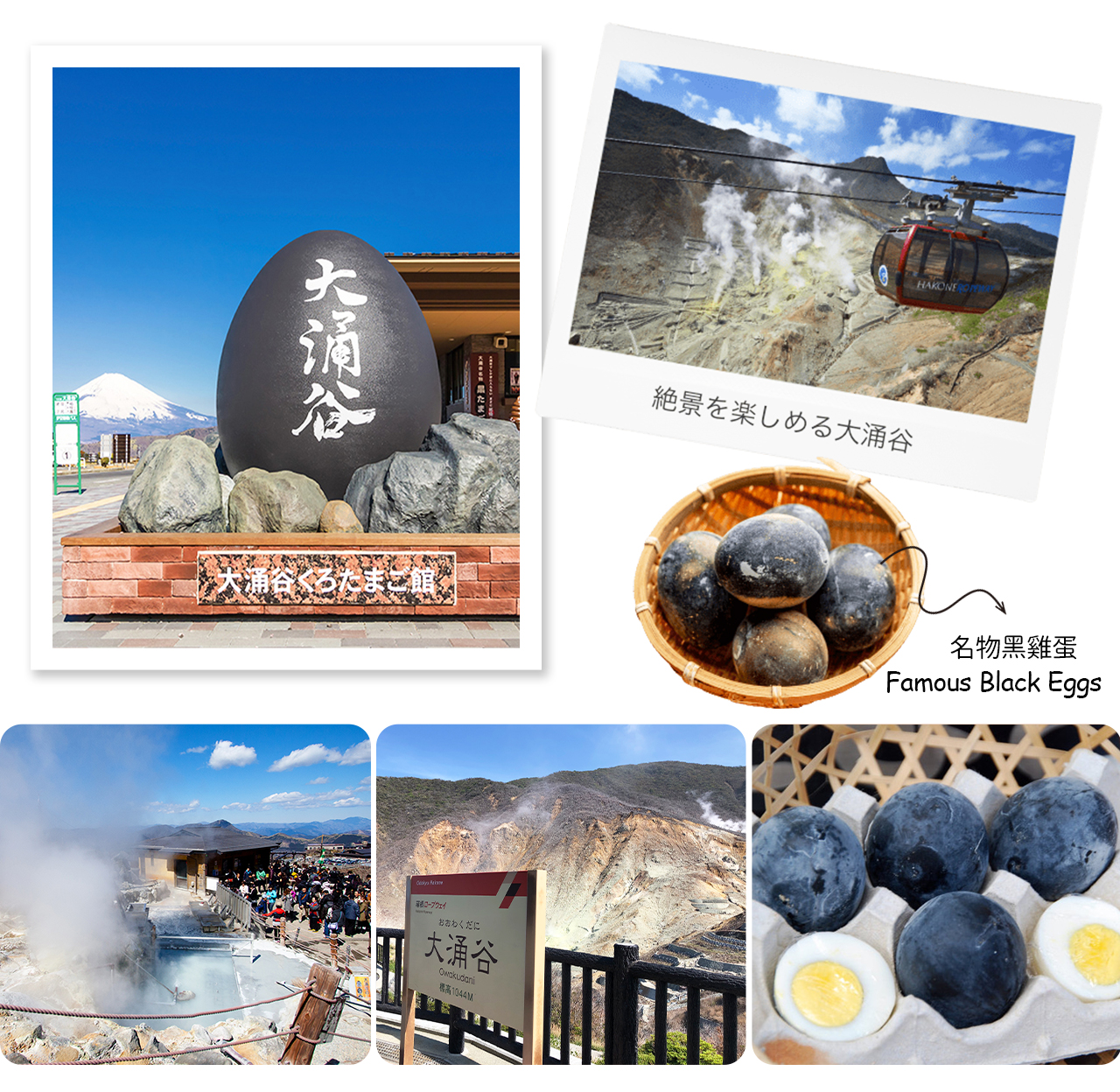 富士山·箱根｜蘆之湖水上鳥居·山中湖·大涌谷「水陸空」探索之旅（贈箱根空中纜車）｜東京/新宿出發