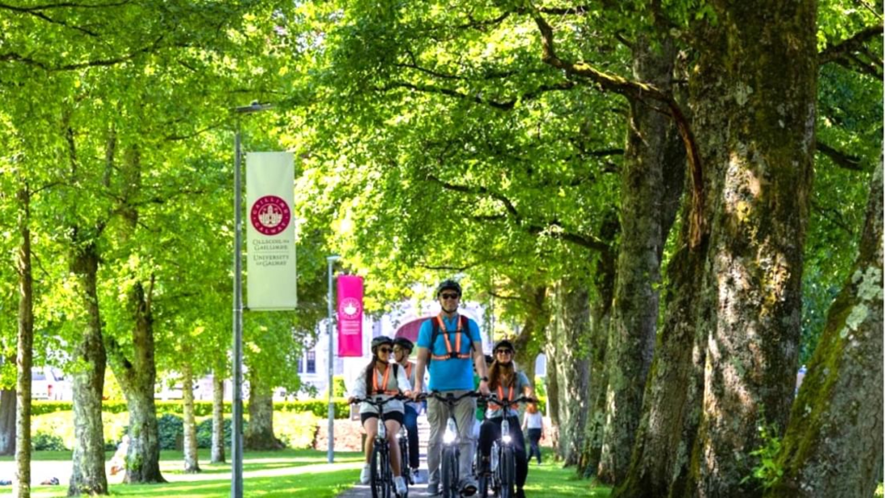 Electric bike tour in Galway