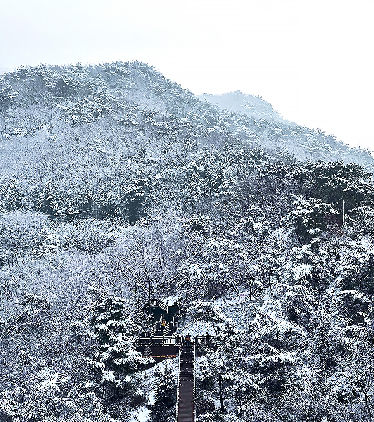 雪山甘岳山的壯麗全景令人難忘。