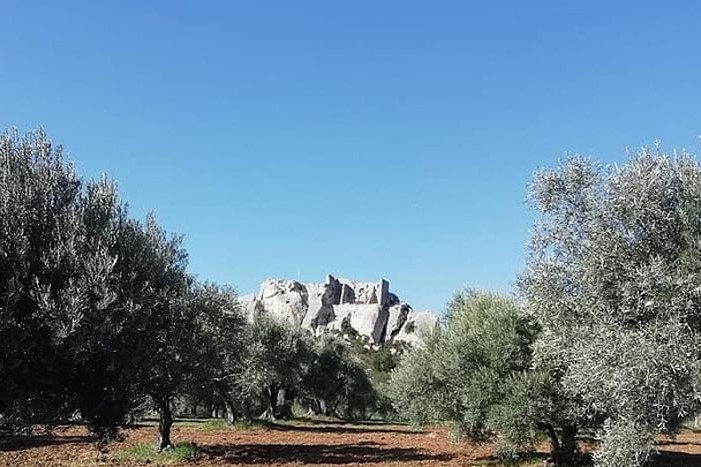 Saint Remy, Les Baux de Provence and Pont du Gard Tour from Avignon