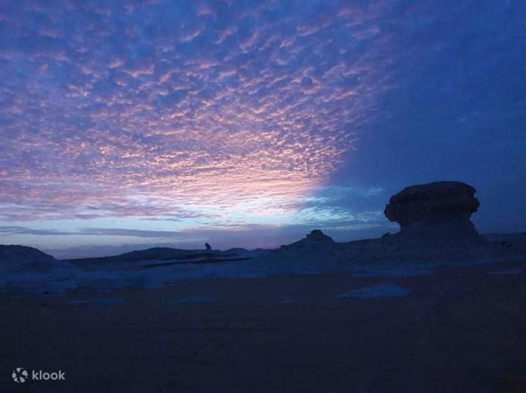 3 Days, 2 Nights Discover Bahariya Oasis, White and Black Deserts
