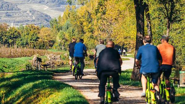 Electric bike tour with Amarone wine tasting in Valpolicella