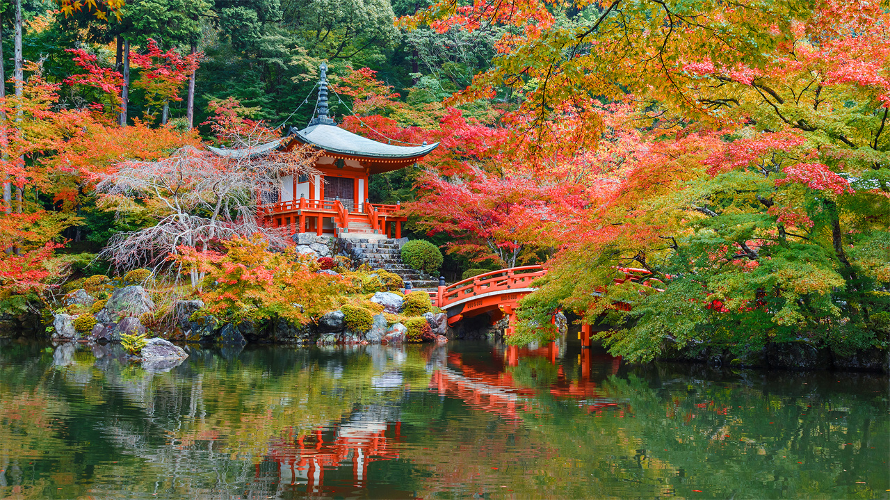京都清水寺·二條坂·金剛寺·八坂庚申堂·醍醐寺·宇治平等院·源氏物語博物館一日遊｜大阪/京都出發