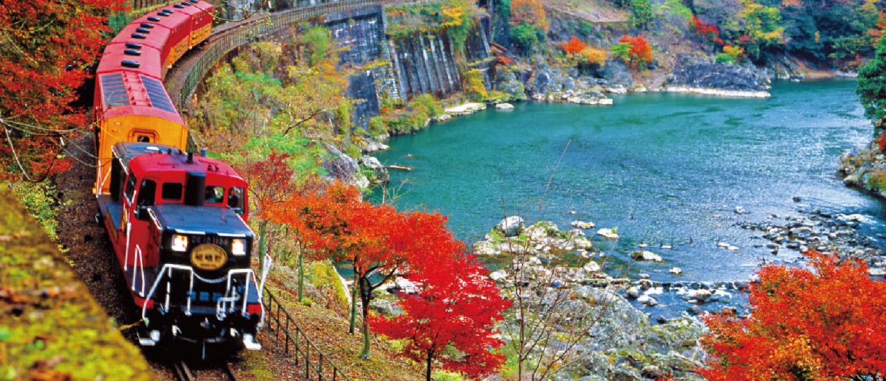 京都奈良嵐山一日遊|奈良公園喂小鹿 伏見稻荷千本鳥居 嵐山竹林小徑（大阪出發， 京都或大阪下車）