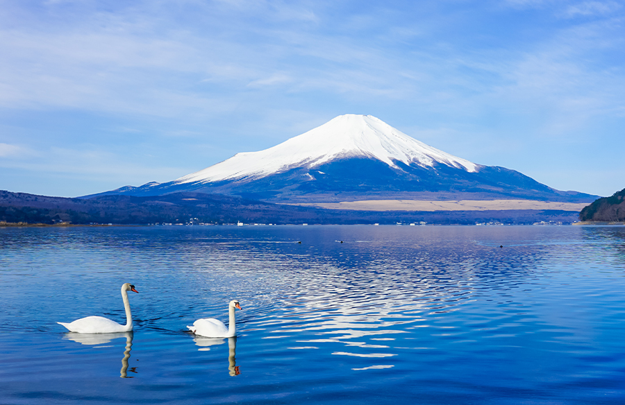 富士山與箱根「水陸空」探索之旅（贈箱根空車纜車　東京出發）