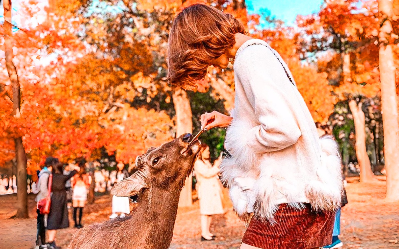 Nara & Uji Day Trip: Nara Park & Todai-ji Temple & Uji & Genji no Yu Onsen | Depart from Osaka