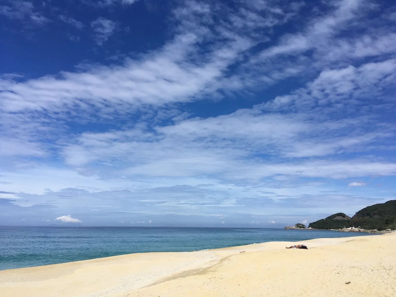 屋久猿觀光巴士：屋久島上午半日遊