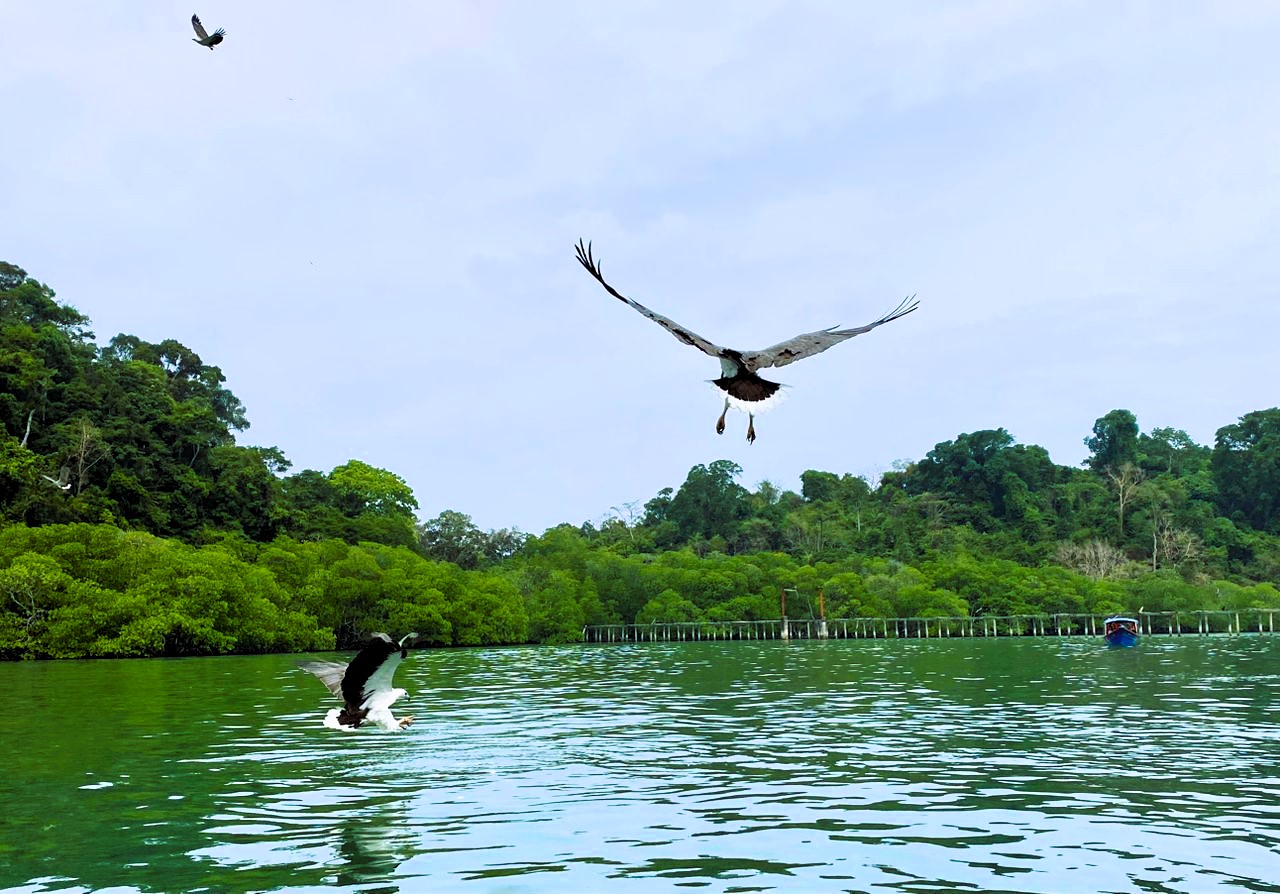 蘭卡威海洋探險浮潛之旅