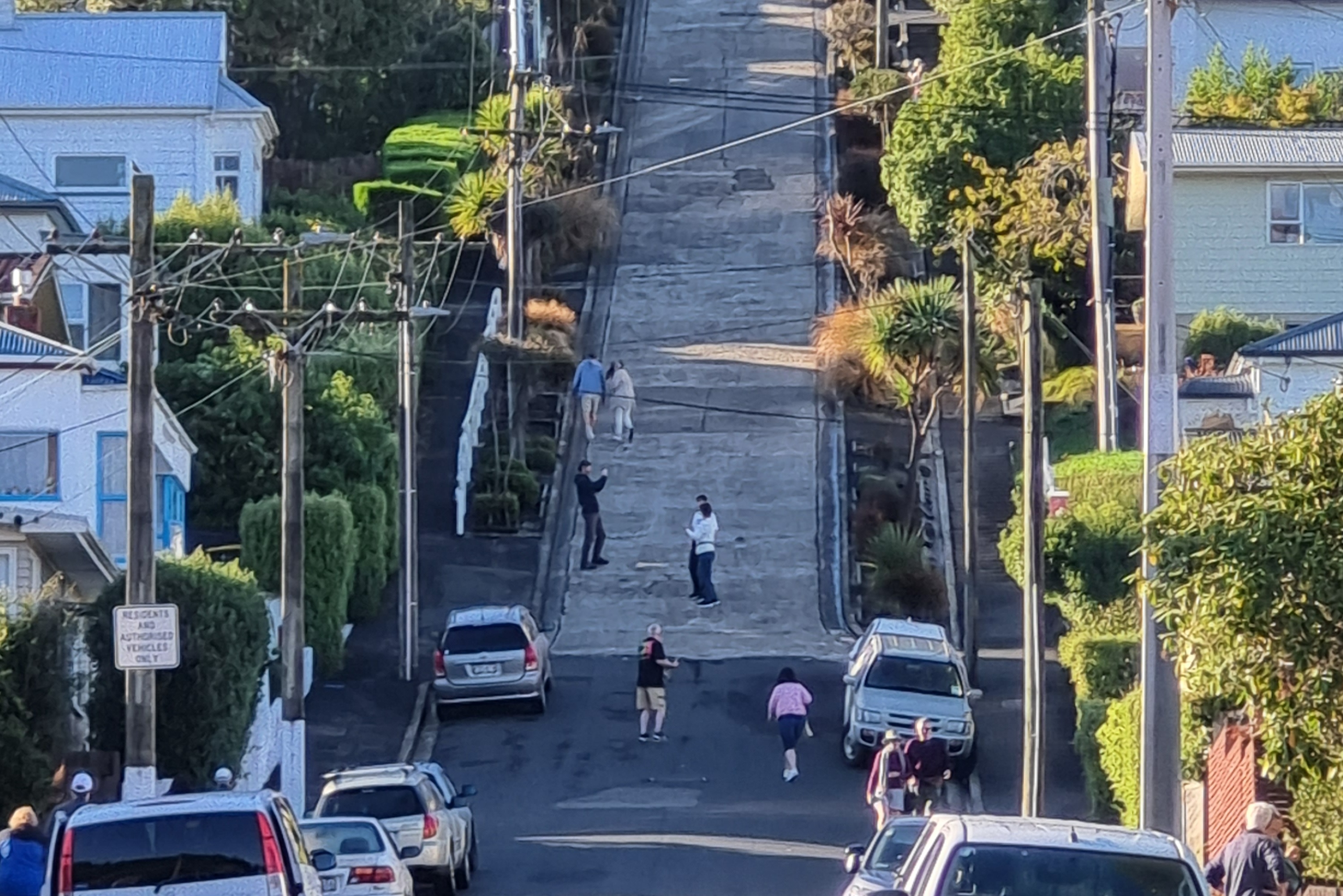 達尼丁市區、拉納克城堡 & 海岸風光之旅