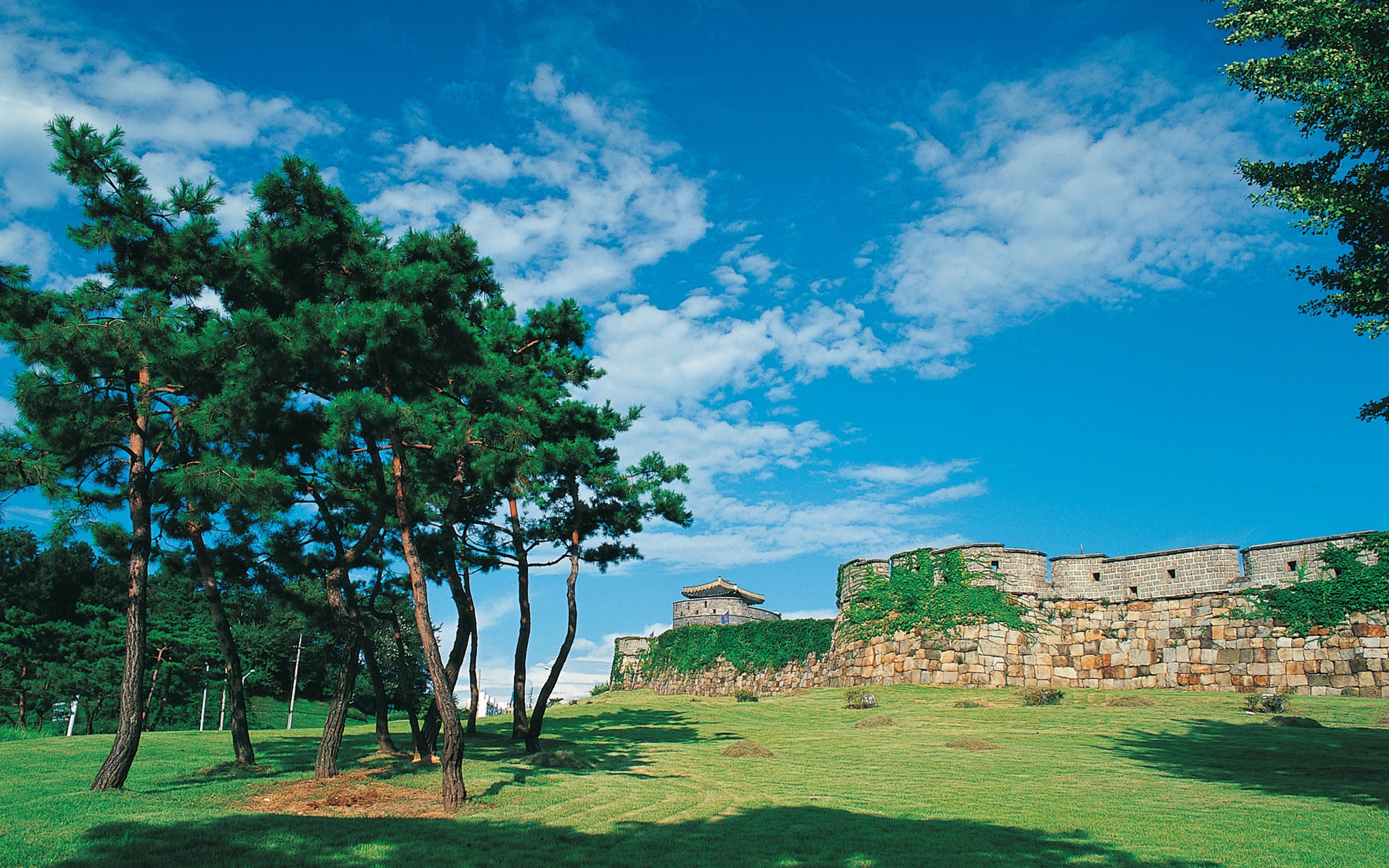 Day Trip to UNESCO: Suwon Fortress Adventure from Seoul
