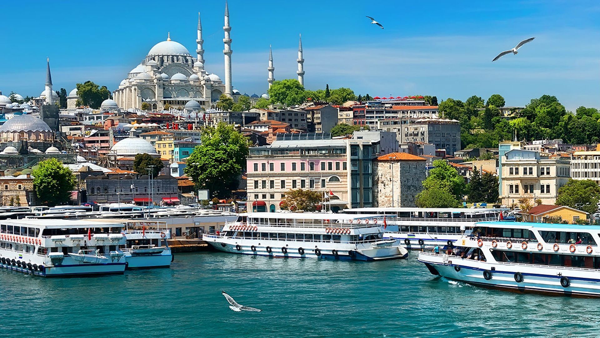 Istanbul Full Day Tour By Bus And Bosphorus Cruise (SL-9)